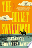 The bullet swallower : a novel /