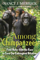 Among chimpanzees : field notes from the race to save our endangered relatives /