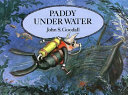 Paddy under water /