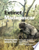 Extinct Madagascar : picturing the island's past /