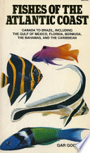 Fishes of the Atlantic Coast : Canada to Brazil, including the Gulf of Mexico, Florida, Bermuda, the Bahamas, and the Caribbean /