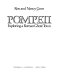 Pompeii : exploring a Roman ghost town /