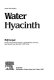 Water hyacinth /