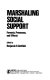 Social support strategies : guidelines for mental health practice /