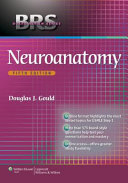 Neuroanatomy /