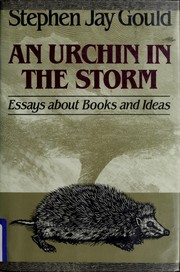 An urchin in the storm : essays about books and ideas /