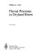 Fluvial processes in dryland rivers /