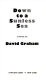 Down to a sunless sea : a novel /