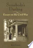 Somebody's darling : essays on the Civil War /