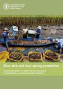 Rice-rice and rice-shrimp production : a gender perspective on labour, time use and access to technologies and services in southern Viet Nam /