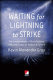 Waiting for lightning to strike : the fundamentals of black politics /