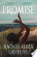 Promise : a novel /