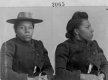 Colored amazons : crime, violence, and Black women in the City of Brotherly Love, 1880-1910 /