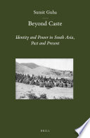 Beyond caste : identity and power in South Asia, past and present /