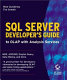 SQL Server developer's guide to OLAP with analysis services /