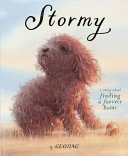 Stormy : a story about finding a forever home /