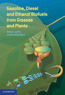 Gasoline, diesel, and ethanol biofuels from grasses and plants /