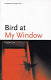 Bird at my window /