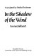 In the shadow of the wind /