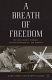 A breath of freedom : the civil rights struggle, African American GIs, and Germany /