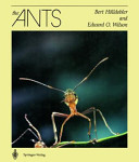 The ants /