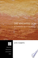 The anointed son : a Trinitarian Spirit christology /