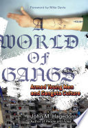 A world of gangs : armed young men and gangsta culture /