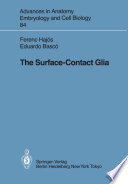 The Surface-Contact Glia /