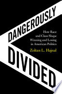 Dangerously divided : how race and class shape winning and losing in American politics /