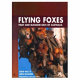 Flying foxes : fruit and blossom bats of Australia /