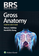 Gross anatomy  /