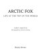 Arctic fox : life at the top of the world /