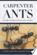 Carpenter ants of the United States and Canada /