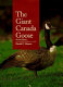 The giant Canada goose /