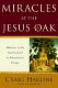 Miracles at the Jesus Oak : histories of the supernatural in Reformation Europe /