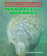 Manatees & dugongs /