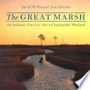 The great marsh : an intimate journey into a Chesapeake wetland /