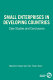 Small enterprises in developing countries : case studies and conclusions /