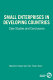 Small enterprises in developing countries : case studies and  conclusions /
