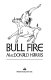 Bull fire /