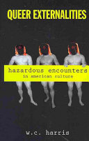 Queer externalities : hazardous encounters in American culture /