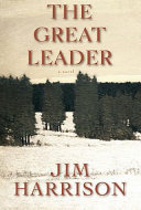 The great leader : a faux mystery /