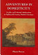 Adventures in domesticity : gender and colonial adulteration in eighteenth-century British literature /