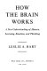 How the brain works : a new understanding of human learning, emotion, and thinking /