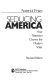 Seducing America : how television charms the modern voter /