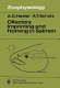 Olfactory imprinting and homing in salmon : investigations into the mechanism of the imprinting process /