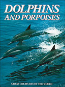 Dolphins and porpoises /