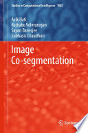 Image Co-segmentation /