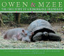 Owen & Mzee : the true story of a remarkable friendship /