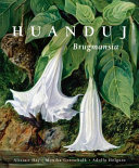 Huanduj : Brugmansia /